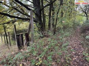 Prodej pole, Netolice, Za Mnichem, 20452 m2
