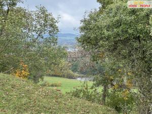 Prodej pole, Netolice, Za Mnichem, 20452 m2