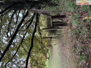 Prodej pole, Netolice, Za Mnichem, 20452 m2