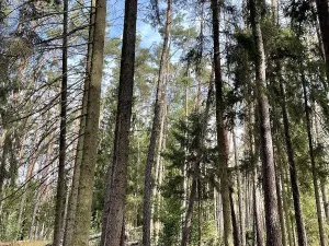 Prodej podílu pozemku, Velký Ratmírov, 3510 m2