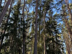 Prodej pozemku, Slabčice, 13278 m2