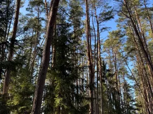 Prodej pozemku, Slabčice, 13278 m2