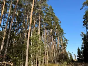 Prodej pozemku, Slabčice, 13278 m2