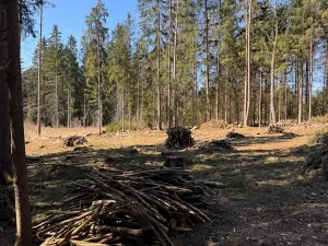 Prodej podílu pozemku, Studená, 18432 m2