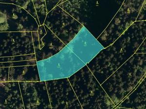 Prodej podílu lesa, Valašská Polanka, 1343 m2