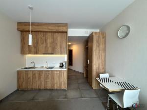 Prodej apartmánu, Dolní Morava, 30 m2