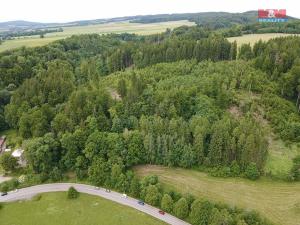 Prodej lesa, Ústí nad Orlicí - Oldřichovice, 2745 m2