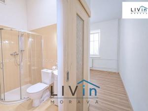 Pronájem bytu 2+kk, Velká Bystřice, 8. května, 34 m2