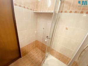 Pronájem bytu 1+1, Jihlava, Erbenova, 40 m2