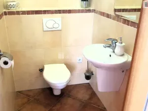 Prodej rodinného domu, Hodonín, Plucárna, 303 m2