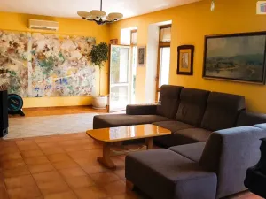 Prodej rodinného domu, Hodonín, Plucárna, 303 m2