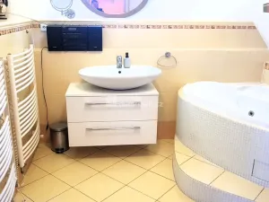 Prodej rodinného domu, Hodonín, Plucárna, 303 m2