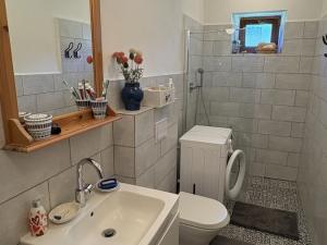 Prodej chalupy, Kašperské Hory - Červená, 242 m2