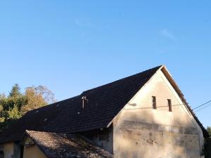 Prodej zemědělské usedlosti, Třebčice, 240 m2