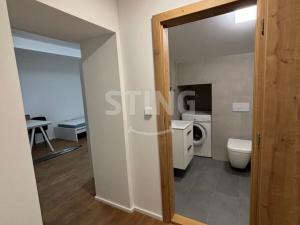 Pronájem bytu 1+kk, Ostrava, S. K. Neumanna, 30 m2