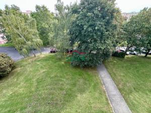 Prodej bytu 2+1, Most, Zdeňka Fibicha, 53 m2