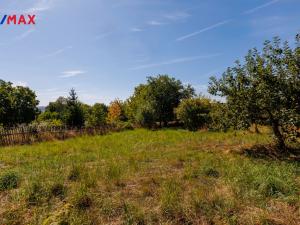 Prodej zemědělské usedlosti, Štědrá - Brložec, 72 m2