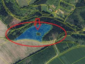 Prodej podílu lesa, Liberk, 5585 m2