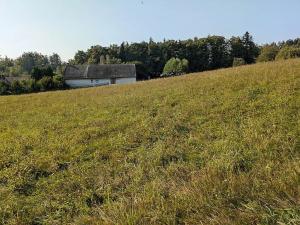 Prodej pozemku pro bydlení, Nové Lublice, 7990 m2