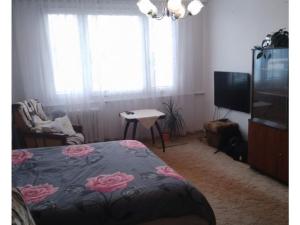 Pronájem bytu 3+1, Dačice - Dačice V, Jiráskova, 82 m2