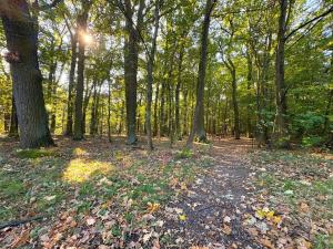 Prodej pozemku pro bydlení, Praha - Klánovice, V trninách, 875 m2