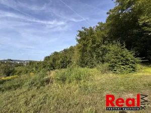 Prodej pozemku pro bydlení, Brno, Pod Mniší horou, 911 m2