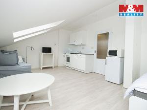 Pronájem bytu 1+kk, Opava - Město, Popská, 30 m2