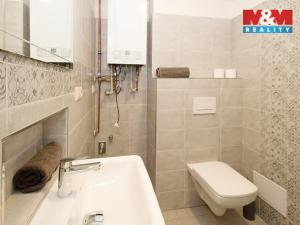 Pronájem bytu 1+kk, Opava - Město, Popská, 30 m2