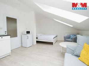 Pronájem bytu 1+kk, Opava - Město, Popská, 30 m2