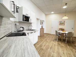 Pronájem bytu 3+kk, Frýdek-Místek - Místek, Havlíčkova, 110 m2