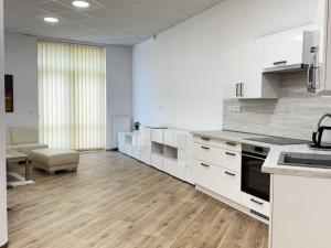 Pronájem bytu 3+kk, Frýdek-Místek - Místek, Havlíčkova, 110 m2
