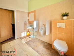 Pronájem bytu 3+kk, Frýdek-Místek - Místek, Havlíčkova, 110 m2