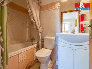 Prodej zemědělské usedlosti, Žirovnice - Vlčetín, 245 m2