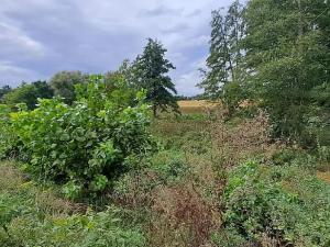 Prodej zahrady, Borek, 3737 m2