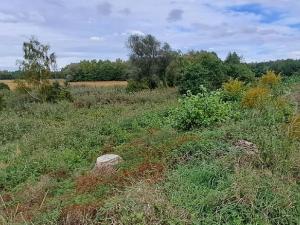 Prodej zahrady, Borek, 3737 m2