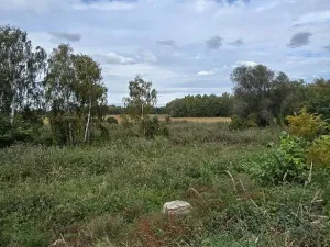 Prodej zahrady, Borek, 3737 m2