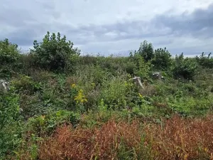 Prodej zahrady, Borek, 3737 m2