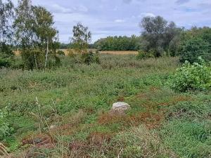 Prodej zahrady, Borek, 3737 m2