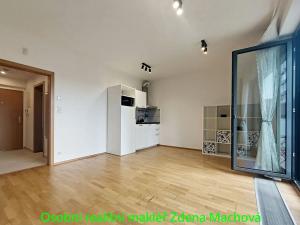Pronájem bytu 1+kk, Praha - Žižkov, Olšanská, 41 m2