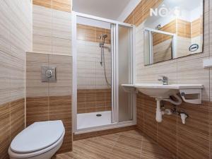 Pronájem bytu 1+1, Žatec, Volyňských Čechů, 36 m2