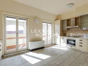 Pronájem bytu 5+1, Praha - Malá Strana, Újezd, 286 m2