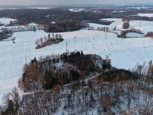 Prodej lesa, Chlum u Třeboně - Žíteč, 389696 m2
