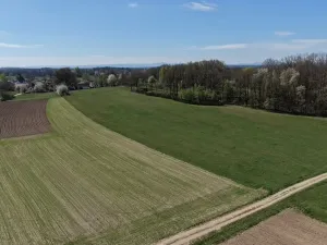 Prodej lesa, Chlum u Třeboně - Žíteč, 379696 m2