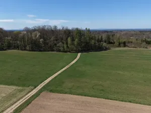 Prodej lesa, Chlum u Třeboně - Žíteč, 379696 m2