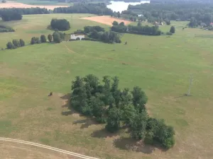 Prodej lesa, Chlum u Třeboně - Žíteč, 360000 m2