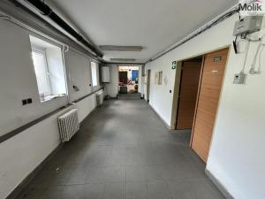 Prodej výrobních prostor, Hrob - Verneřice, 365 m2