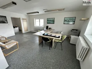 Prodej výrobních prostor, Hrob - Verneřice, 365 m2