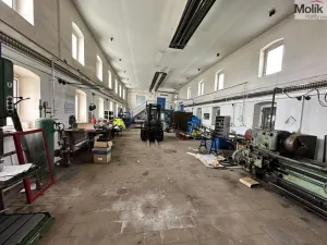 Prodej výrobních prostor, Hrob - Verneřice, 365 m2