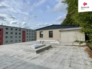 Prodej výrobních prostor, Úpice, Bezručova, 859 m2