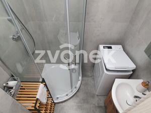 Pronájem bytu 1+1, Zlín - Malenovice, Husova, 32 m2